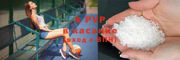 сатива Беломорск
