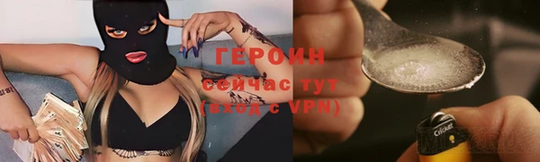 сатива Беломорск