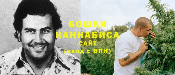 трава Белокуриха