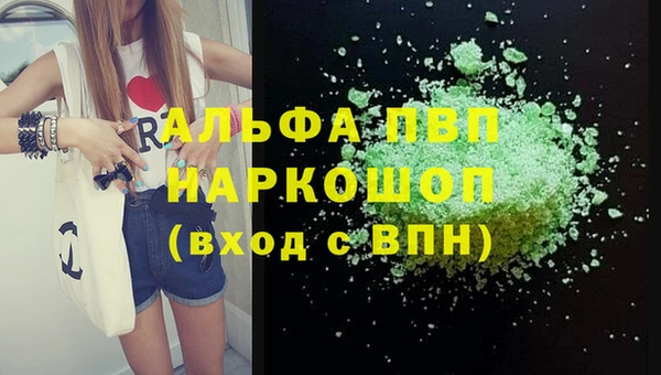 сатива Беломорск