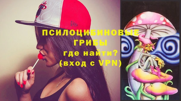 сатива Беломорск