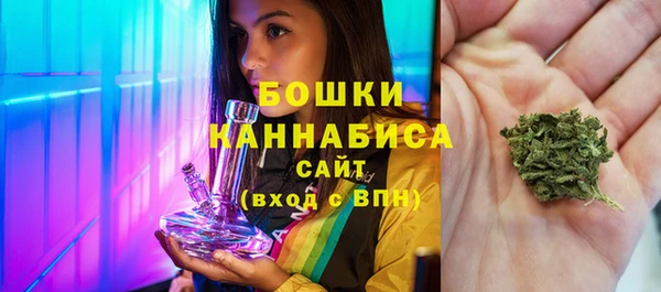 трава Белокуриха