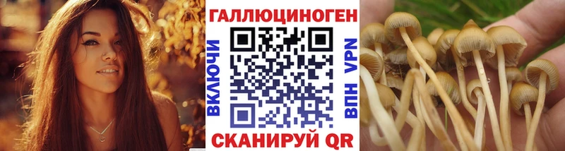 Галлюциногенные грибы MAGIC MUSHROOMS ссылка на мегу вход Гремячинск